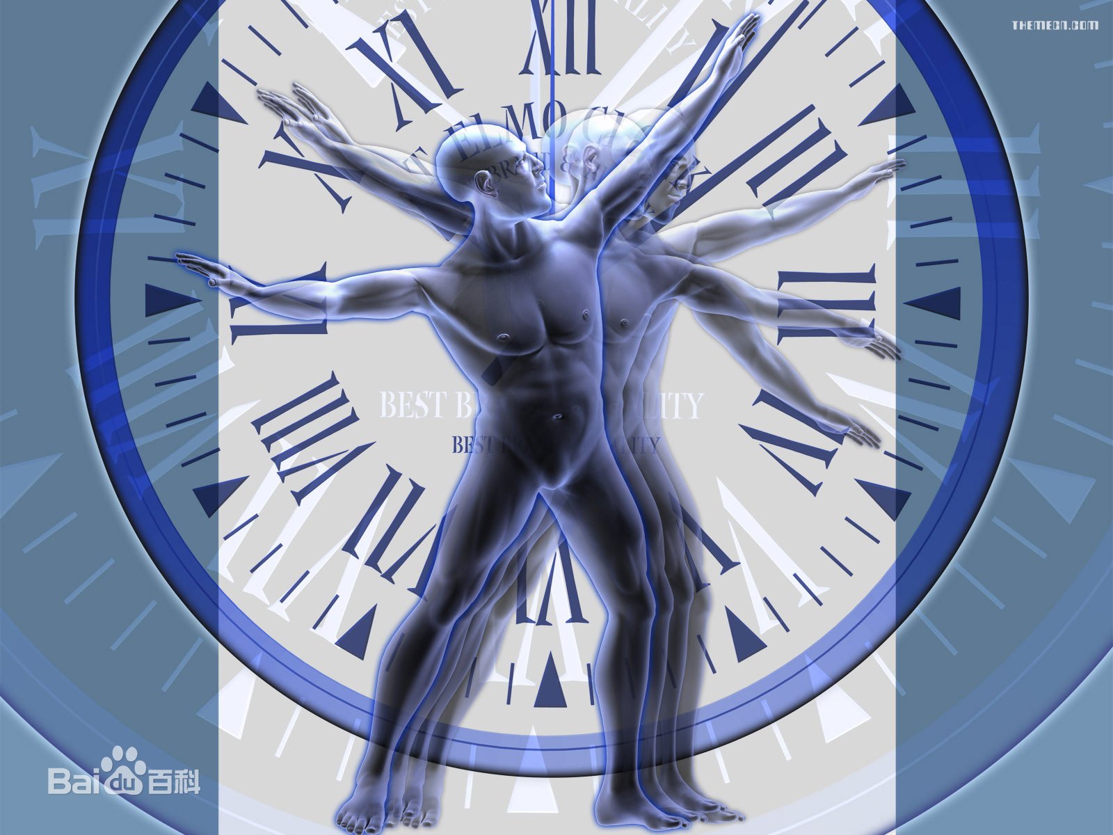 1584523947846363.jpg 3ac79f3df8dcd10081e74554728b4710b9122f4f.jpg