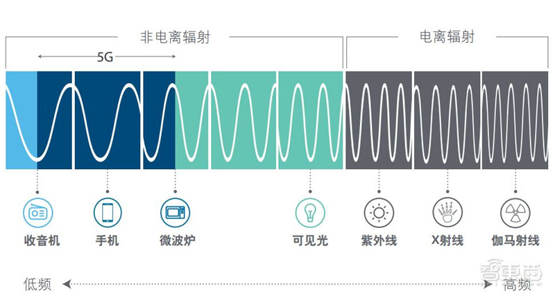 外媒评选出2020年十大“好物”：苹果M1芯片、PS5榜上有名